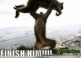 /album/galeria-de-fotos-imagens/mortal-kombat-jpg/